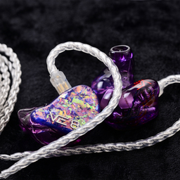 VE Custom In Ears - VISION EARS